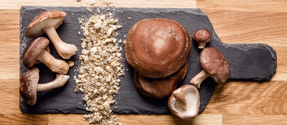 Buy Turkey Tail Mushrooms in South Africa